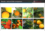 Toward a procedural fruit tree rendering framework for image analysis